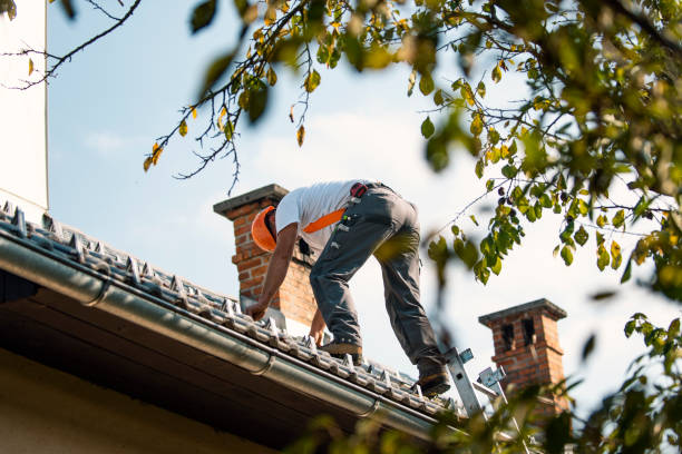 Best Residential Roofing Contractor  in Volga, SD