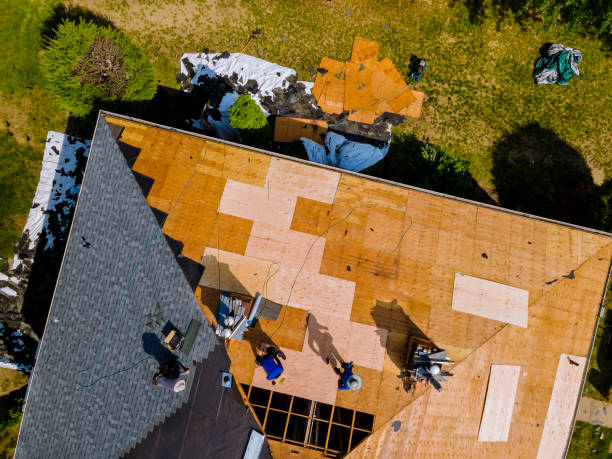 Best Shingle Roofing Installation  in Volga, SD