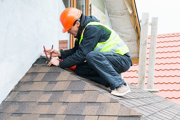 Best Roof Leak Repair  in Volga, SD
